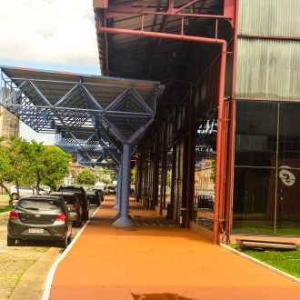 Gavião-carijó faz ninho na Estação das Docas