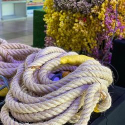 Música e teatro marcam terceira semana do ‘Círio na Estação 2020’ Nesta terça (20)