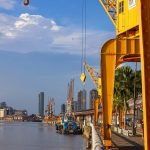 Veja funcionamento da Estação, Mangal e Parque do Utinga no feriado do Dia da Consciência Negra