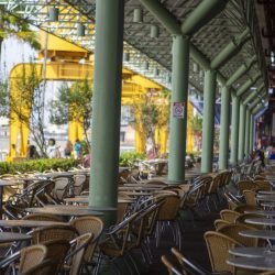 Estação, Mangal e Parque Estadual do Utinga estarão abertos no feriado do trabalhador (1º)