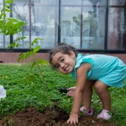 Estação das Docas celebrou o Dia Internacional das Florestas com plantio de mudas